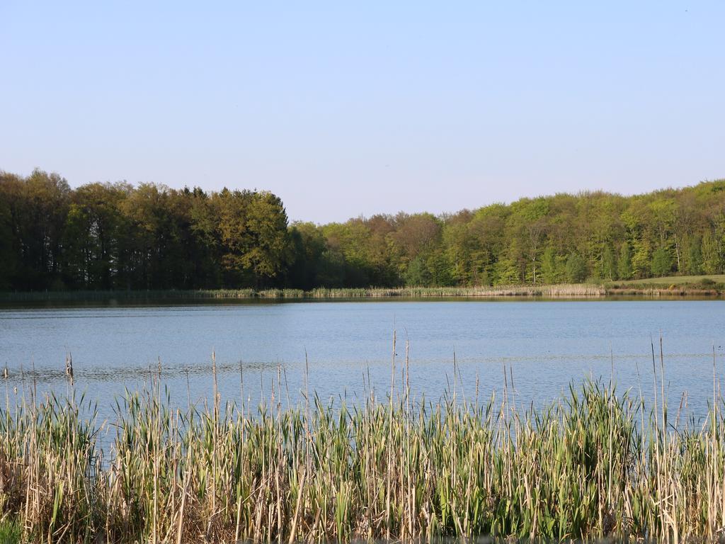 Haus Am Wanderweg Apartman Niederdürenbach Kültér fotó